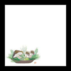 耐油天紙 5寸 松茸(9～10月) 100枚入 1冊 Y004434