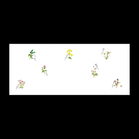 テーブルマットおてもと#3316 秋野の花 100枚 Y004883