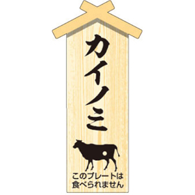 D-0108 プレート小 カイノミ 100枚 Y009470