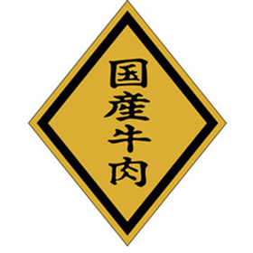 M-0022 国産牛肉 750枚 Y009579