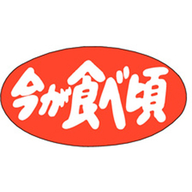 H-1568 今が食べ頃 1000枚 Y009725