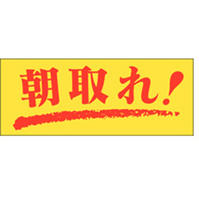 M-0125 朝取れ 1000枚 Y010424