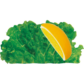 グルメシート グリーンリーフレモン 丸 (100枚包装) 100枚 Y013396
