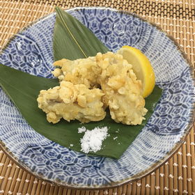 瀬戸内海産 かきの天ぷら 360g（20粒） 21760★終売