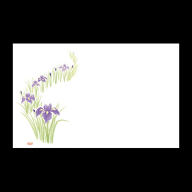 テーブルマット尺3#349 しょうぶ 100枚 Y004725