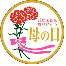 C-0229 母の日 500枚 Y009356