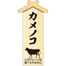 D-0124 プレート小 カメノコ 100枚 Y009483