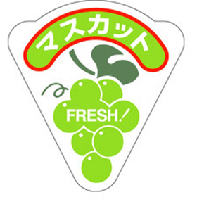 H-0204 マスカット 500枚 Y009809