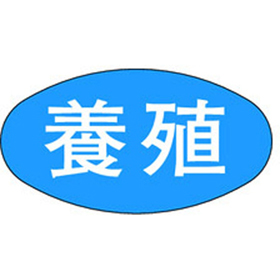 M-1685 養殖 1000枚 Y010377