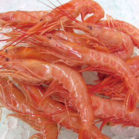 アルゼンチン赤海老 2kg(約50尾入)20/30サイズ 12247★欠品中