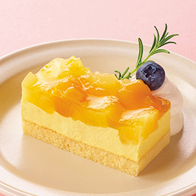 フリーカットケーキ パイン&マンゴー(アルフォンソマ ンゴーピューレ使用) 500g(カットなし) 13745