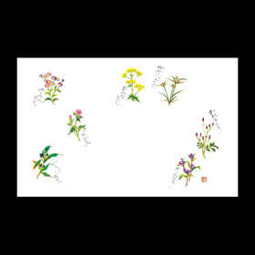 テーブルマット尺3#316 秋野の花 100枚 Y004692