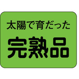 H-1542 完熟品 1000枚 Y009799