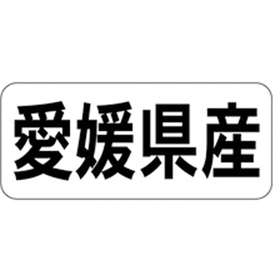 K-1337 愛媛県産 ヨコ 1000枚 Y009954