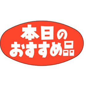 A-0602 本日のおすすめ品 1000枚 Y011427