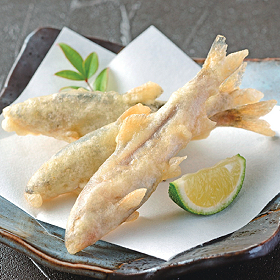 稚鮎打ち粉付き 500g(約40～50尾) 23540 販売期間5月-8月★販売期間終了