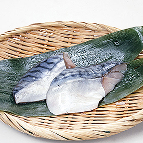 そのまま調理さば（骨無）約60g×5切入 24019