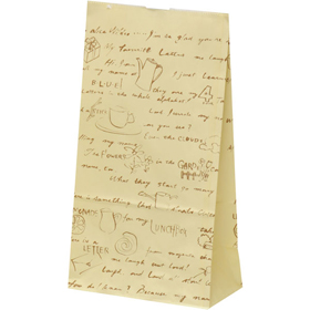 ハイバック角底袋 H6 レター (150X90X280mm) 100袋