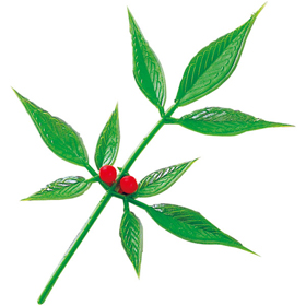 南天大 N-3 100本 Y003668