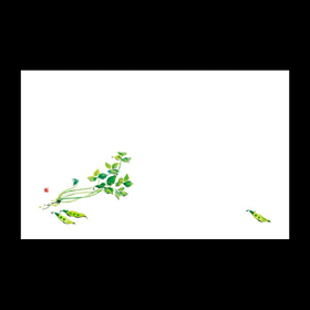 テーブルマット尺3#204 みつば&えんどう 100枚 Y004566