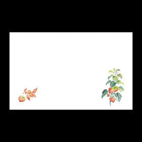 テーブルマット尺5#1233 ほおずき 100枚 Y004599