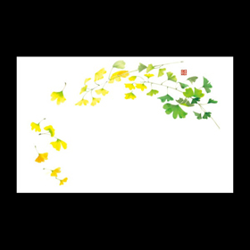 テーブルマット尺5#1255 いちょう 100枚 Y004621