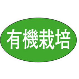 M-1864 有機栽培 1000枚 Y009728