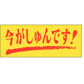M-0127 今がしゅんです 1000枚 Y010403
