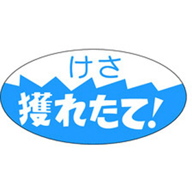 M-0353 けさ獲れたて 750枚 Y010427