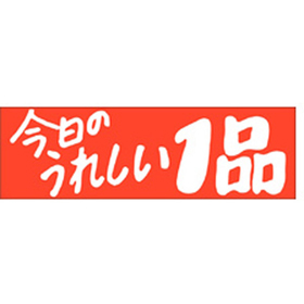A-0542 今日のうれしい一品 500枚 Y011467