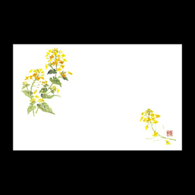 テーブルマット尺3#266 菜の花 100枚 Y004633