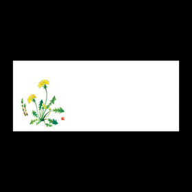 テーブルマットおてもと#3205 たんぽぽつくし 100枚 Y004803