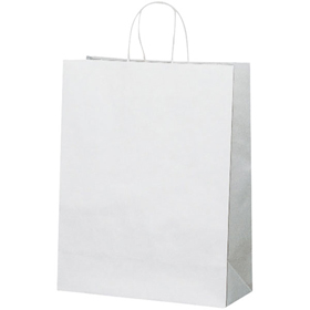 手提袋 HA-2 無地(片ツヤ) 340204 50枚 Y008272