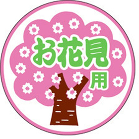 C-0232 お花見用 500枚 Y009346