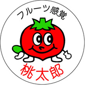 H-0321 桃太郎 1000枚 Y009791