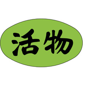 M-1711 活物 1000枚 Y010343