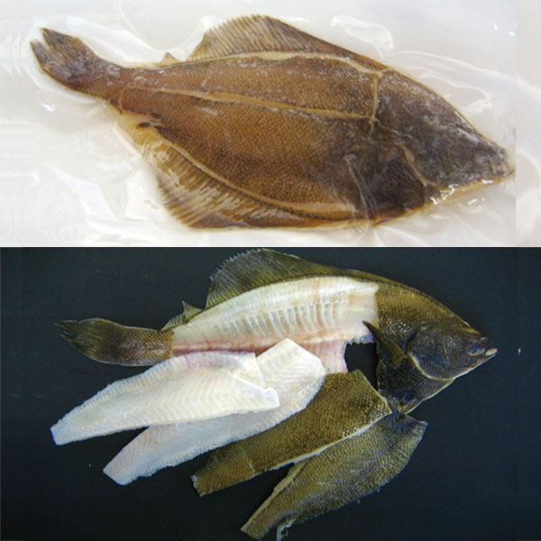 黄金カレイ5枚おろし 約100 150g 12尾入 終売 食彩ネット 黄金カレイ5枚おろし 約100 150g 12尾入 終売 食彩ネット