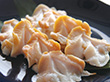 生つぶ貝むき身 500g(約15-25粒入) 22443→★25947に変更