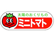H-0089 ミニトマト 500枚 Y009802