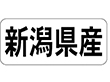 K-1316 新潟県産 ヨコ 1000枚 Y009933