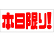 A-1991 本日限り 500枚 Y011457