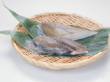 黄金鰈 切身 骨なし 80g×5枚 X027725