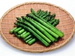 グリーンアスパラM(ロング) 500g グリーンアスパラM(ロング) 500g