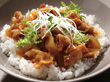 どんぶり屋 豚丼の具 140g×5袋入 20680★終売予定