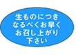 M-0898 生ものにつきなるべくお早く 1000枚 Y010479