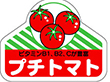 H-0050 プチトマト 500枚 Y009797