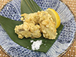 瀬戸内海産 かきの天ぷら 360g（20粒） 21760★終売