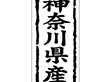 K-1013 神奈川県産 1000枚 Y009843