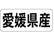 K-1337 愛媛県産 ヨコ 1000枚 Y009954